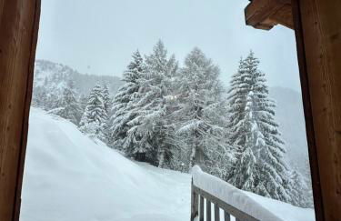 Tonale Ski-in AlpView Studio - Foto 19