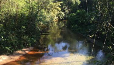 Beach house surrounded by lush nature - Foto 5