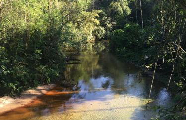 Beach house surrounded by lush nature - Foto 5