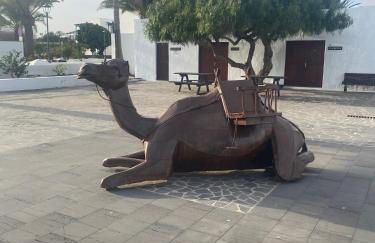 Volcano View - Photo 44