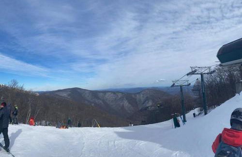 Stoney Creek Cottage Wintergreen w EV Charger - Foto 88