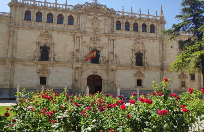 Alcalá de Henares Day Trip - Photo 11