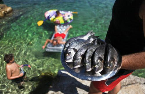 Robinson Monte Cristo - Foto 8