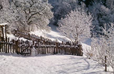 Vitroler Hof - Photo 11