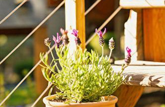 Riverfront Chalet Near Skiing, Lakes, Mtns & Leavenworth - Foto 43