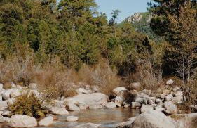 Appart Sylvie B - Foto 14