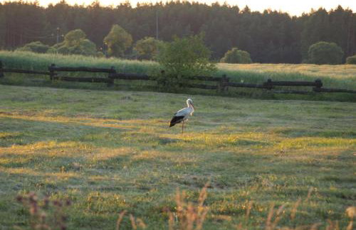 Wieża marzeń - Photo 15