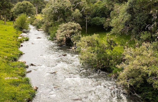 Chalé Diamante Negro - Urubici - SC - Foto 31