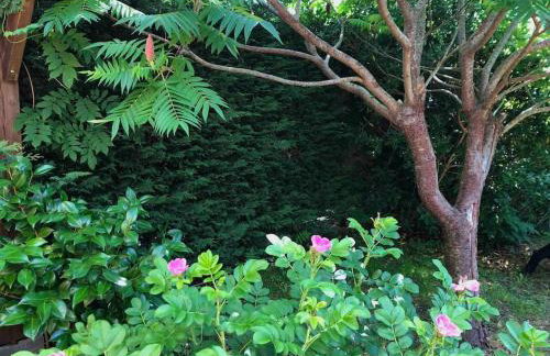 BEACH HOUSE DE CHARME A MESSANGES. LA MAISON BLEUE - Photo 20