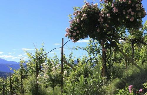 Millenniumshof - Foto 22