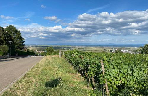 Gîte au Pied du Bischenberg - Foto 41