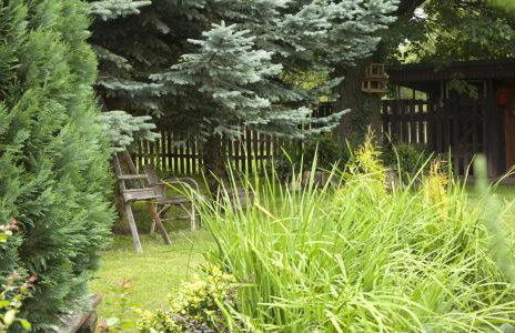 Gościniec Pod Bukiem - Foto 22