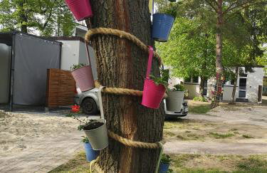 Skorzęcin Przytulny Zakątek - Foto 17