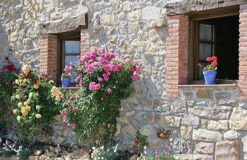 La xica ll - Foto 29