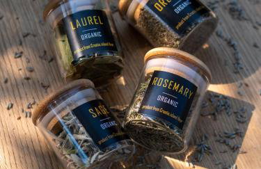 Dvor Pitve Villas - Photo 41