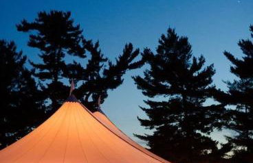 Alpine and Ember - Foto 10