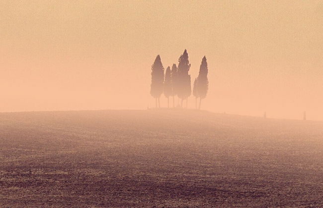 Agriturismo Casagrande - Photo 109