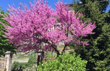 Como Country House - Photo 25