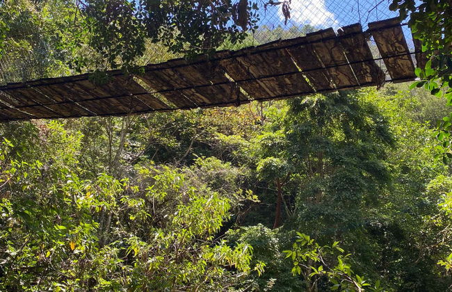 Tirolina en los bosques de Oaxaca - Foto 5