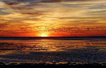 Studio neuf Garance 35 m2 Salin de Giraud - Foto 17