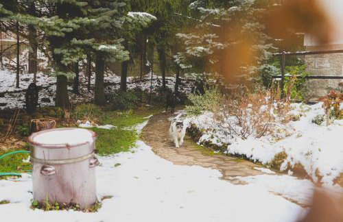 Szczytny Zakątek Apartamenty - Foto 37