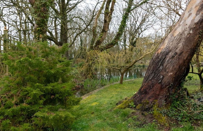 Holiday Home in Ceredigion Near Seashore - Foto 22