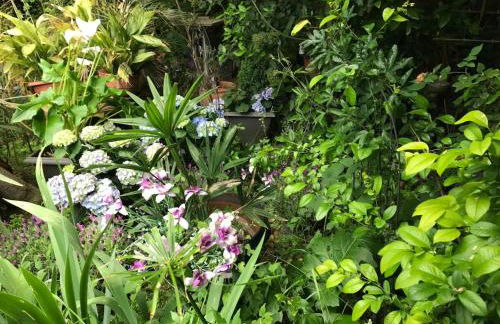 Les Fontaines du Mas des Fontaines - Foto 16