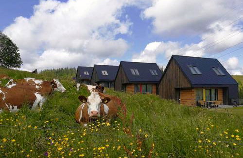 Bystre DOMKI - Foto 32