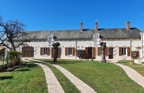 Les camélias - Foto 27