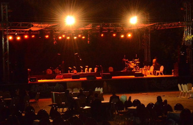 Diamant Vert - Photo 49