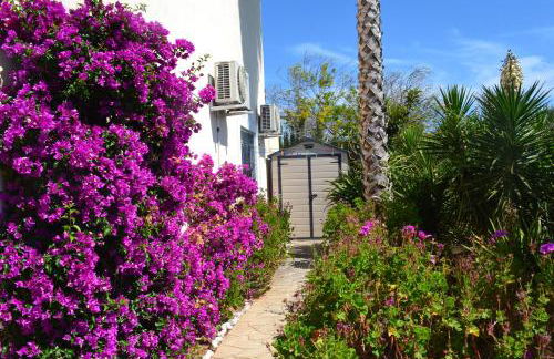 Casa Alexandra - Foto 25