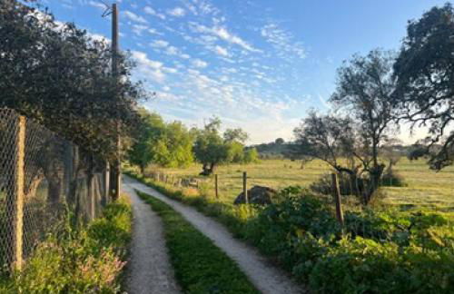 Qta Casa Seleiras - Guest House - Foto 23