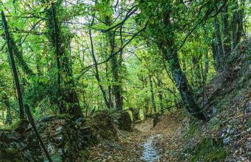 Agiasos House - Foto 13