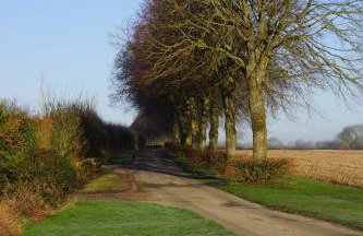 Crucis Park Estate - Foto 30