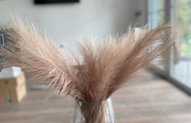 Ferienwohnung Niederlaasphe - Foto 21