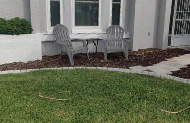 The Playful Pelican - Foto 16