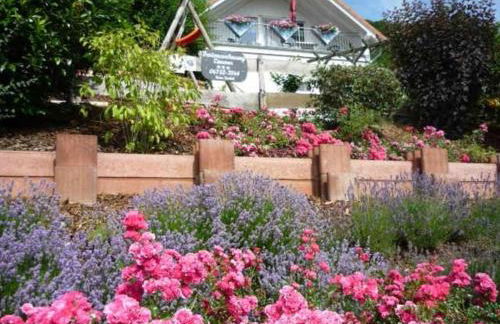 Close-up view inside the Vorbek house - Foto 3