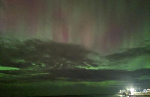 Braeview Studio - Foto 12