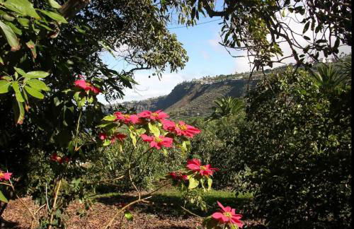 Home2Book Charming Cottage Juanita Among Avocados - Foto 30