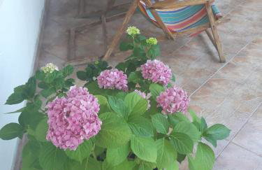 Apartments Iris - Photo 42