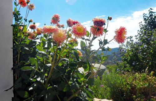 Casa rural As Túnel - Foto 11