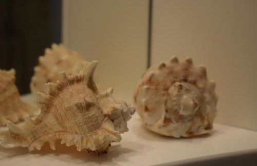 Funky Nest - A cozy apartment in Zipari - Foto 9