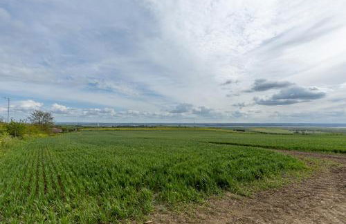 IRO Properties Limited - Foto 21