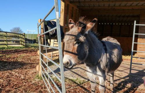 Langdale Lodge - Foto 17