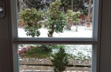 Rosengarten - Foto 32