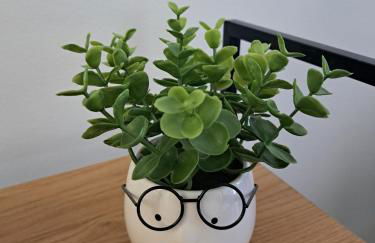 A Casa di Giò - Photo 43