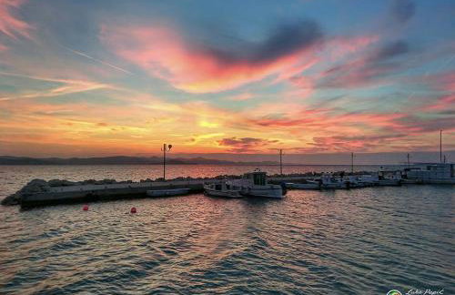 Apartments Samaržija- new 63 not 47 - Photo 6