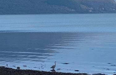 Victorian Seafront House - Photo 20