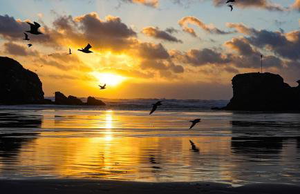 Cornish Dream - Foto 27