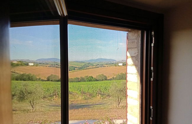 I Tre Filari - Foto 37